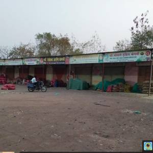 BAJIPALA_VIBHAG_LILAV_original