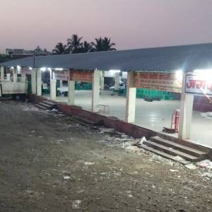 DALIB_VIBHAG_LILAV_original